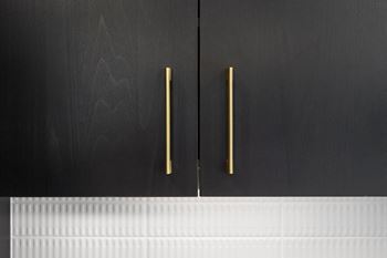 A pair of black cabinet doors with brass handles